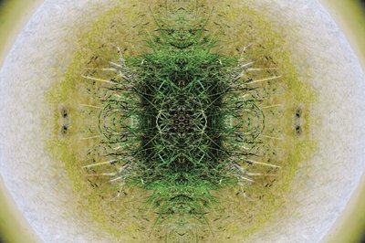 Não-natural 6.1 (foto manipulada digitalmente) de Giovanni Cafagna
