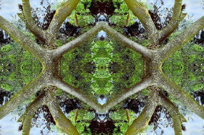 Não-natural 65.2 (foto manipulada digitalmente) de Giovanni Cafagna
