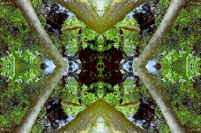 Não natural 65.3 (foto manipulada digitalmente) de Giovanni Cafagna