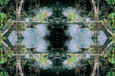 Não natural 73 (foto manipulada digitalmente) de Giovanni Cafagna