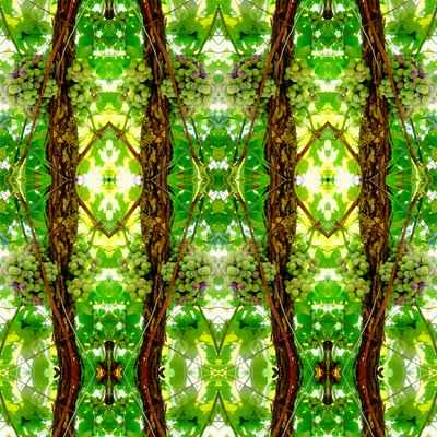 Não-natural 74 (foto manipulada digitalmente) de Giovanni Cafagna