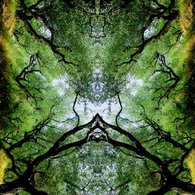Não natural 75 (foto manipulada digitalmente) de Giovanni Cafagna