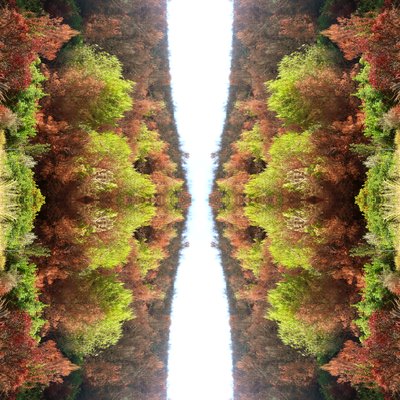 Não natural 77 (foto manipulada digitalmente) de Giovanni Cafagna