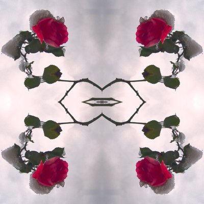 Não natural 80 (foto manipulada digitalmente) de Giovanni Cafagna