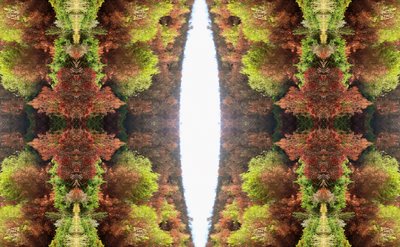 Não-natural 81 (foto manipulada digitalmente) de Giovanni Cafagna