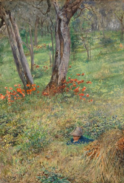 Um esconderijo da floresta (wc no papel) de Giovanni Costa