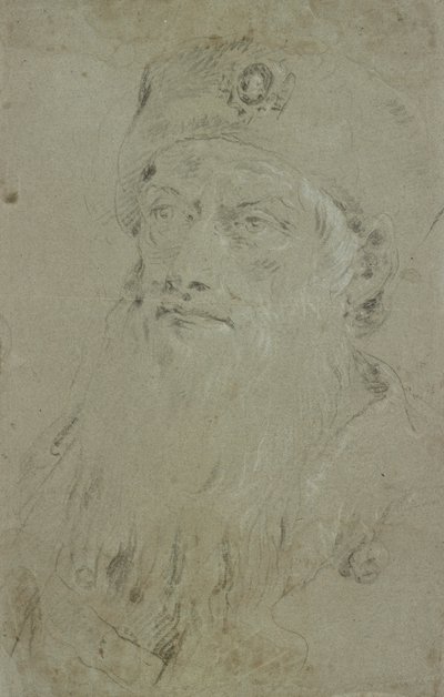 Cabeça de um Oriental barbudo de Giovanni Domenico Tiepolo