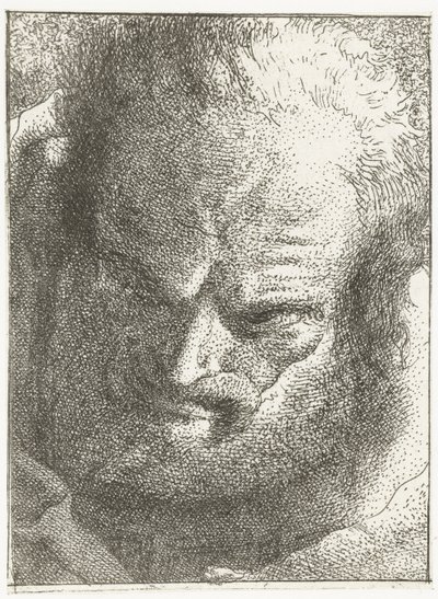 Homem olhando para baixo Coleção de cabeças (título da série) Raccolta di Teste (título da série) de Giovanni Domenico Tiepolo