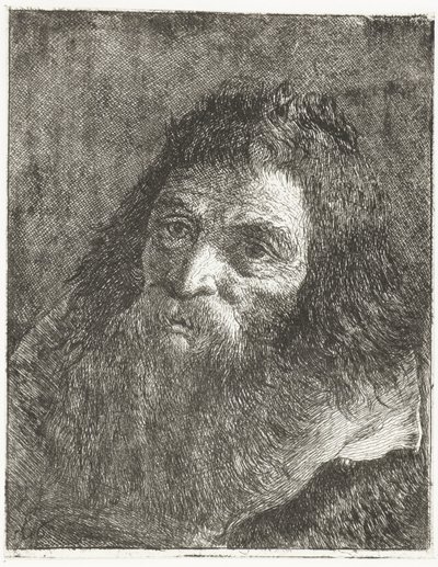 Homem de cabelo comprido e barba de Giovanni Domenico Tiepolo