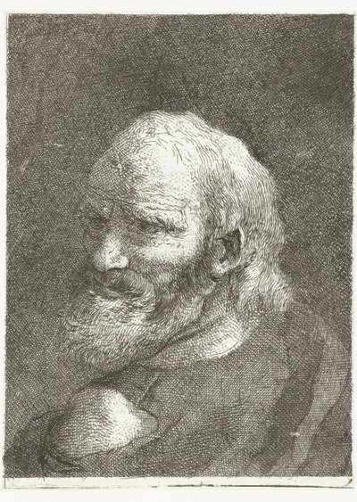 Homem com ombro nu Coleção de cabeças (título da série) Raccolta di Teste (título da série) de Giovanni Domenico Tiepolo