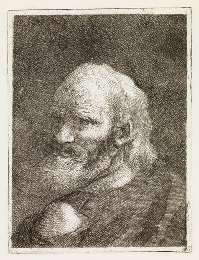 Representação de um homem idoso visto de costas de Giovanni Domenico Tiepolo