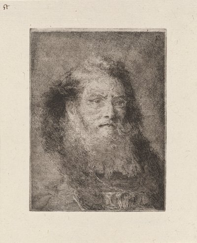 Homem velho com cabeça nua, da Raccolta di Teste (Colecção de Cabeças) de Giovanni Domenico Tiepolo