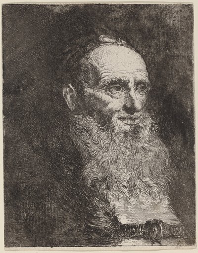 Velho com barba de Giovanni Domenico Tiepolo