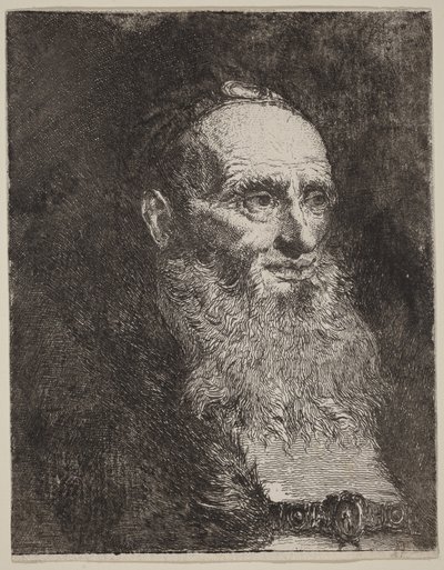 Ancião com barba de Giovanni Domenico Tiepolo