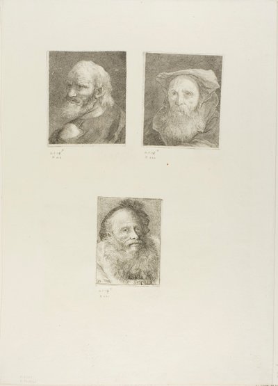 Velho com barba, velho barbudo com chapéu, velho com boné decorativo de Giovanni Domenico Tiepolo
