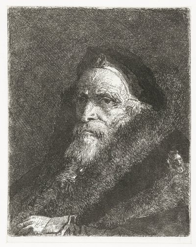Velho com casaco de pele Coleção de cabeças (título da série) Raccolta di Teste (título da série) de Giovanni Domenico Tiepolo