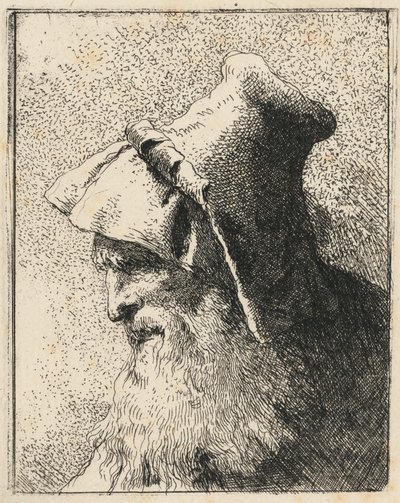 Perfil de um velho com barba de Giovanni Domenico Tiepolo