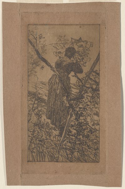 Coletando Folhas (Raccoglitrice di Folie) de Giovanni Fattori