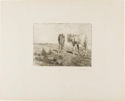 Descanso dos cavalos de Giovanni Fattori