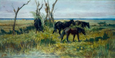 Pasto de Maremma. Cavalos a pastar, c.1872 (óleo sobre tela) de Giovanni Fattori