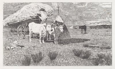 Bois atrelados a uma carroça (Maremma) de Giovanni Fattori