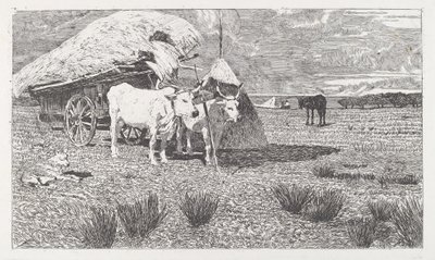 Boi atrelado à carroça (Maremma) [Bovi al carro (Maremma)] de Giovanni Fattori