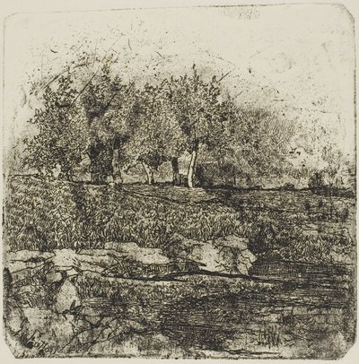 Árvores num prado de Giovanni Fattori