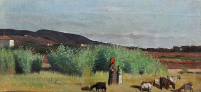 Duas camponesas com rebanhos no campo de Livorno, c.1865 (óleo sobre tela) de Giovanni Fattori