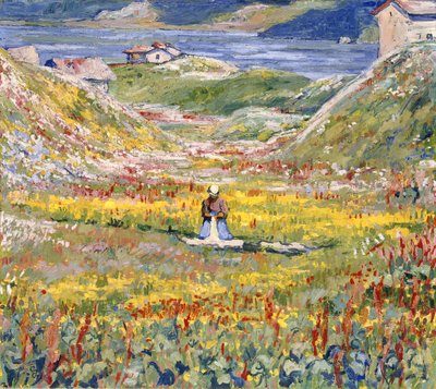 Prados floridos em Maloja; Bluhende wiesen bei Maloja, c.1912-1924 de Giovanni Giacometti
