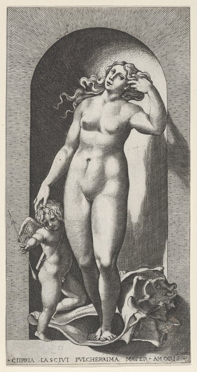 Gravura 10: Vênus em um nicho, de pé sobre uma concha, com Cupido à sua direita, de um ser..., 1526. de Giovanni Jacopo Caraglio