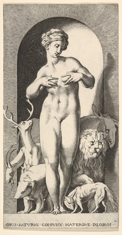 Ilustração 2: Ops em pé em um nicho com as mãos nos seios, olhando para a esquerda, com ..., 1526. de Giovanni Jacopo Caraglio