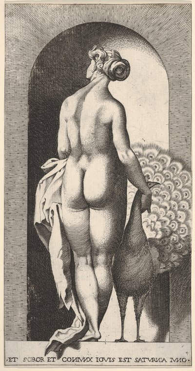 Ilustração 4: Juno em pé em um nicho, visto por trás, acariciando um pavão à sua direita, fr ..., 1526. de Giovanni Jacopo Caraglio