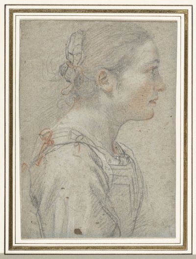Retrato de uma mulher jovem não identificada de Giovanni Mannozzi