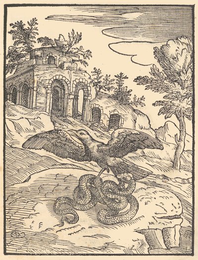 Pássaro e cobra, 1570. de Giovanni Maria Verdizotti