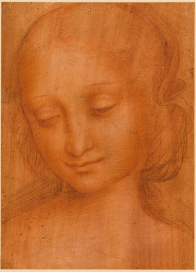 Cabeça de mulher de Giovanni Pietro Rizzoli Giampietrino