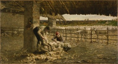 Tosquia de ovelhas de Giovanni Segantini