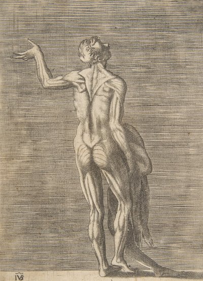 Homem esfolado com a mão esquerda no quadril, segurando a pele na mão direita, ca. 1531-76. de Giulio Bonasone