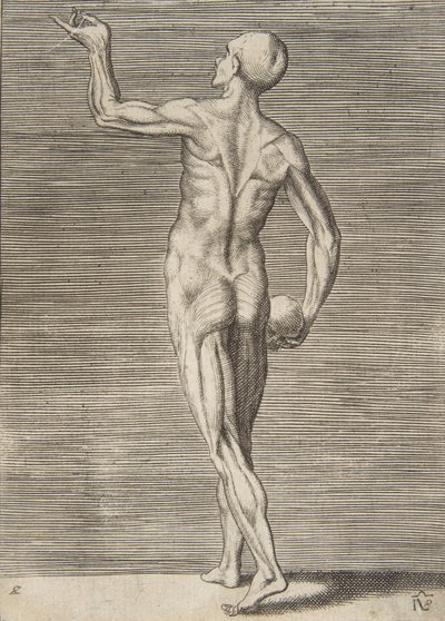 Homem visto de costas, segurando uma caveira na mão direita, século XVI. de Giulio Bonasone