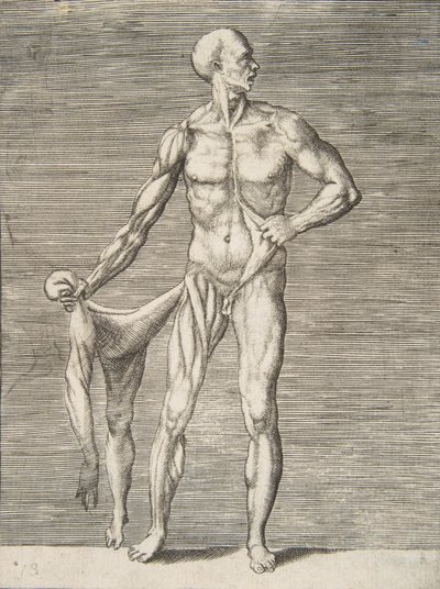 Homem visto de Frente, segurando a Pele do Braço e Perna direitos no Ha..., Século XVI. de Giulio Bonasone