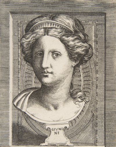 Cabeça esculpida de Juno, ca 1531-76. de Giulio Bonasone
