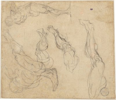 Cabeça de um menino (verso) de Giulio Campagnola