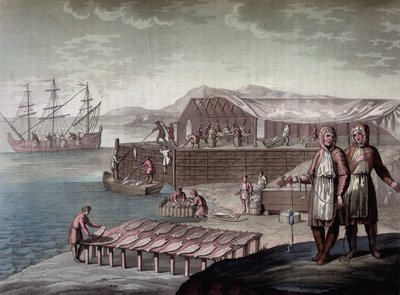 A pesca do bacalhau feita pelos habitantes da Terra Nova - in “” Le traje ancien et moderne”” de Ferrario, ed. Milão de Giulio Ferrario