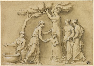 Nascimento de Adônis de Giulio Romano