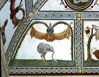 A câmera com Fregio di Amorini Câmara do Friso de Cupido detalhe de um avestruz, afresco de 1520 de Giulio Romano