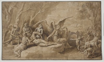 Vênus lamentando a morte de Adonis de Giulio Romano