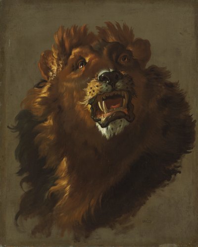 Leoa de Giuseppe Baldrighi