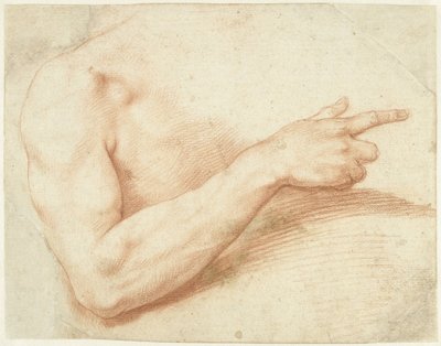 Estudo de um braço de Giuseppe Cesari