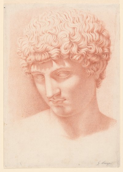 Chefe de Apolo de Giuseppe Longhi