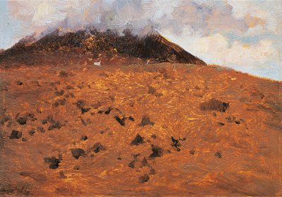 Nas encostas do Vesúvio de Giuseppe or Joseph de Nittis