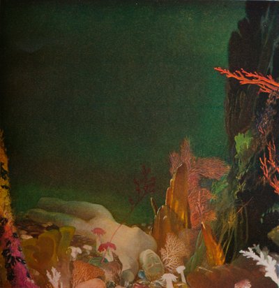 Sob o mar, c1904-1924, 1924 de Glyn Warren Philpot